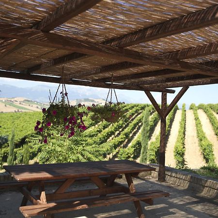 Contado San Lorenzo B&B And Wine Castilenti Εξωτερικό φωτογραφία